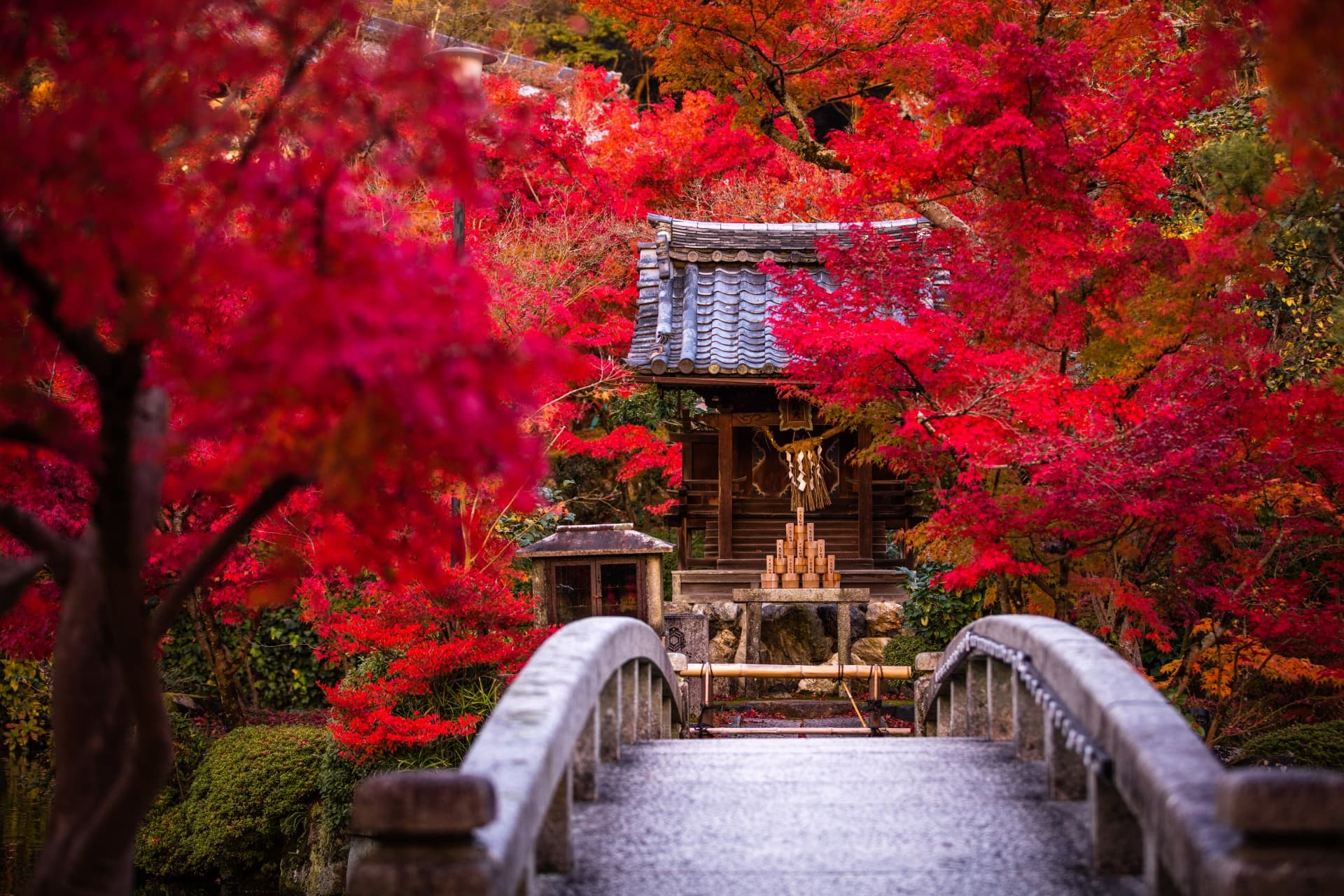 Japan Kyoto